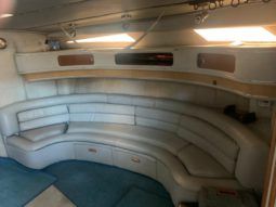 
										SEA RAY SUNDANCER 44 full									
