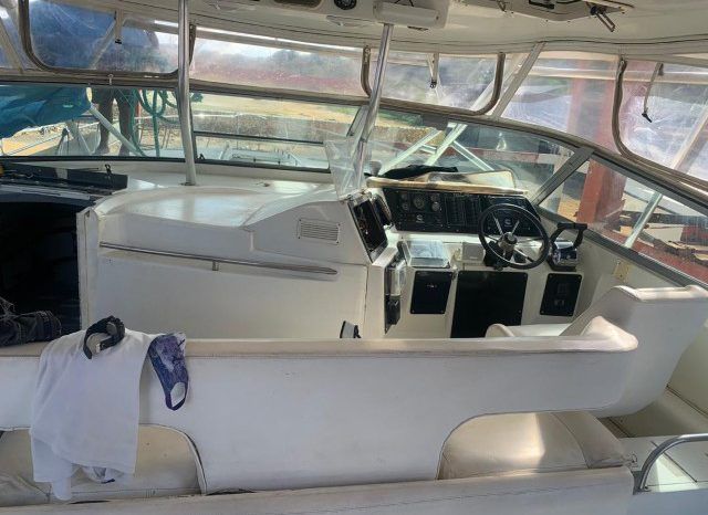 
								SEA RAY SUNDANCER 44 full									