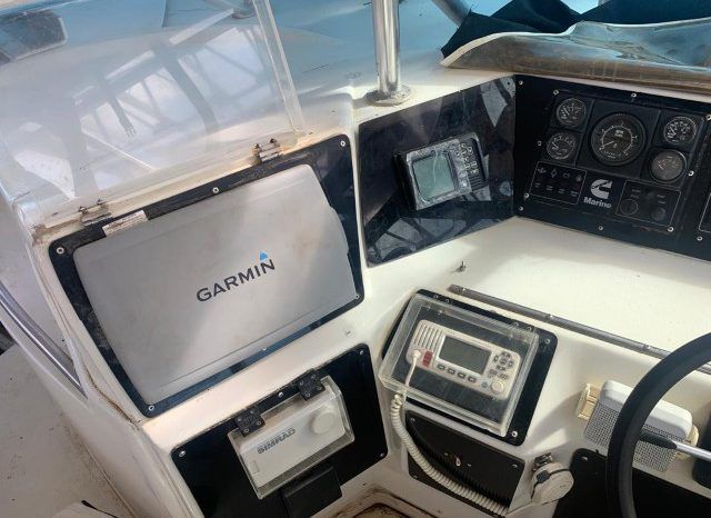 
								SEA RAY SUNDANCER 44 full									