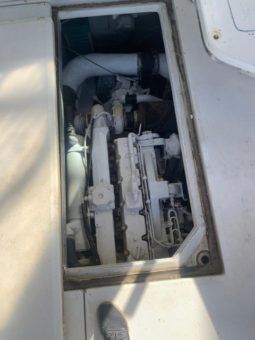 
										SEA RAY SUNDANCER 44 full									