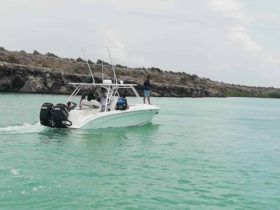 BARRACUDA CUDDY CABIN 36