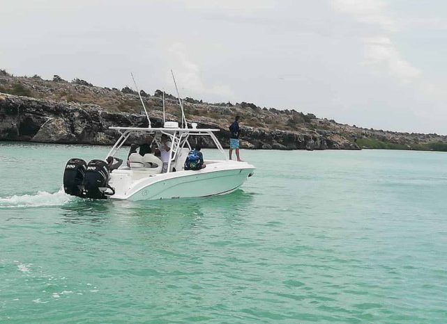 
								BARRACUDA CUDDY CABIN 36 full									