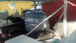 
										SANTOS 21 full									