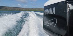 VELOCITY SPORT 23 full