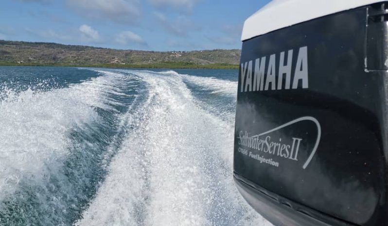 VELOCITY SPORT 23 full