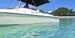 VELOCITY SPORT 23 full