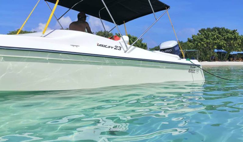 VELOCITY SPORT 23 full