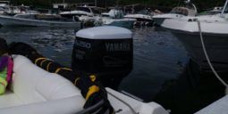 VELOCITY SPORT 23 full