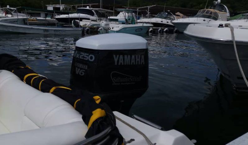 VELOCITY SPORT 23 full