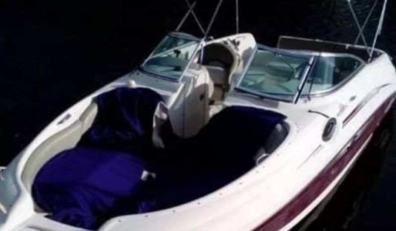 
								SEA RAY SUNDECK 24 full									