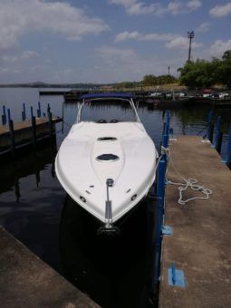 
										COMMANDER MILLENIUM 35 full									