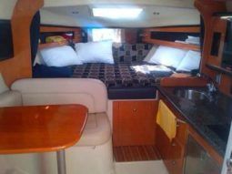
										CHAPARRAL SIGNATURE 29.5 full									