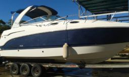 
										CHAPARRAL SIGNATURE 29.5 full									