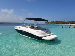 
										SEA RAY 24 full									