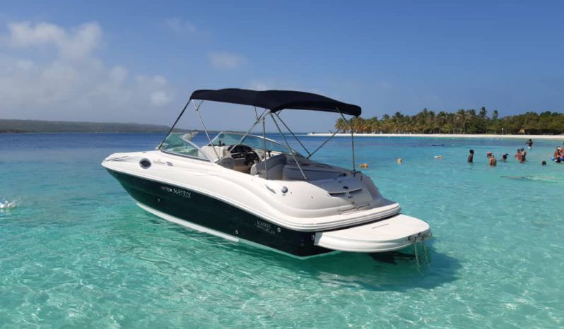 
								SEA RAY 24 full									