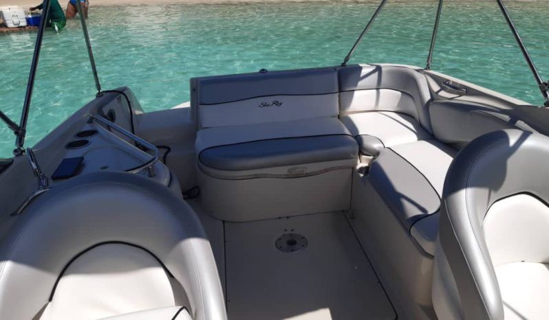 
								SEA RAY 24 full									