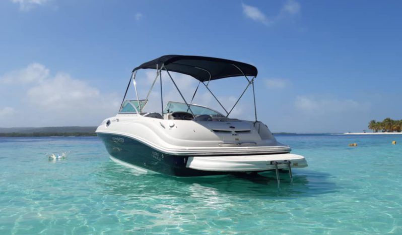 
								SEA RAY 24 full									