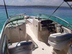 
										SEA RAY 24 full									