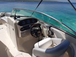 
										SEA RAY 24 full									