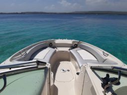 
										SEA RAY 24 full									