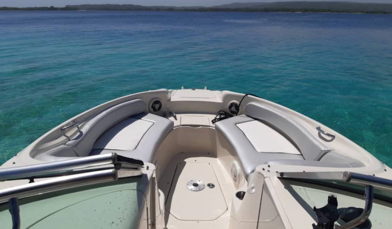 
								SEA RAY 24 full									