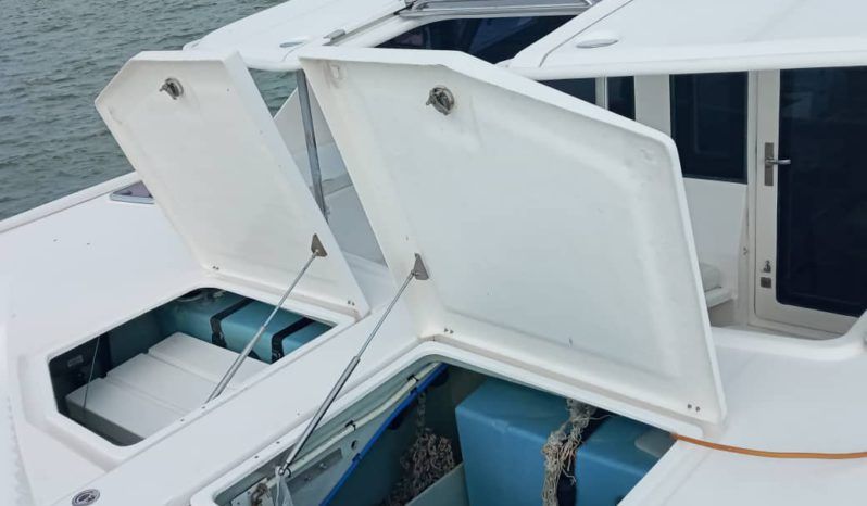 
								VELERO CATAMARAN LEOPARD 44 full									