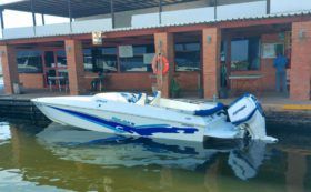 COPPOLA 24