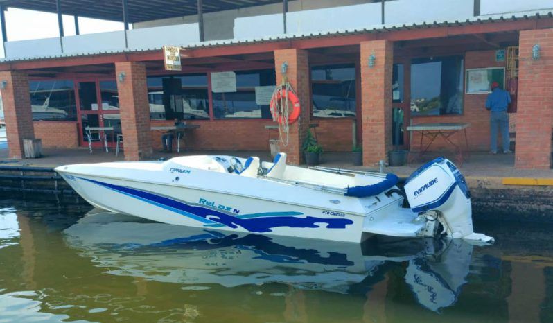 
								COPPOLA 24 full									