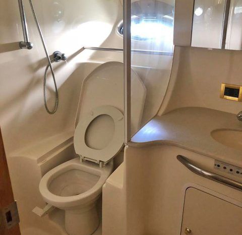 
								SEA RAY EXPRESS BRIDGE 45 full									