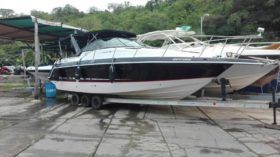 CHAPARRAL SIGNATURE 31