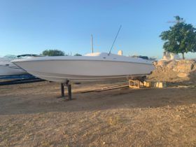 COPPOLA 24