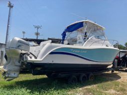 
										PROLINE 32 full									