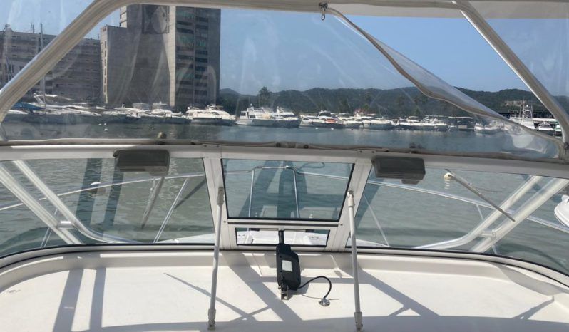 
								PROLINE 32 full									