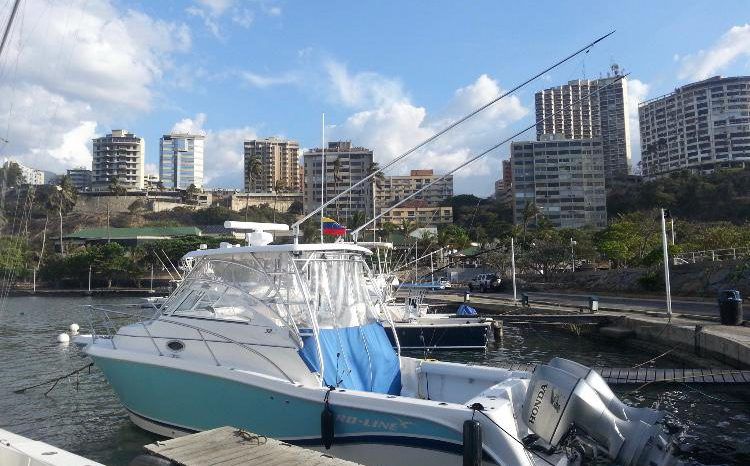 
								PROLINE 32 full									