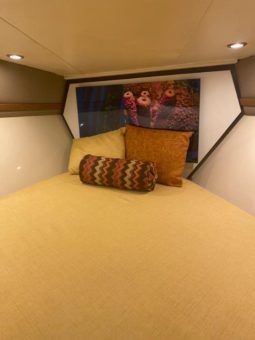 
										PROMARINE 38SS full									