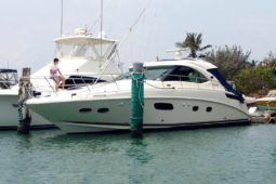 
										SEA RAY SUNDANCER 43 full									