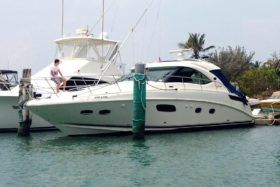 SEA RAY SUNDANCER 43