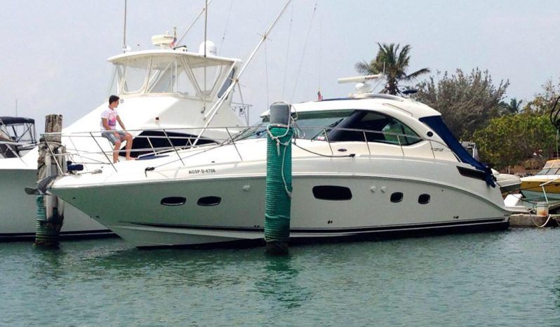 
								SEA RAY SUNDANCER 43 full									