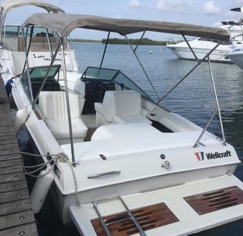 
								WELLCRAFT SPORTSMAN 180 full									