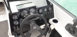 
										WELLCRAFT SPORTSMAN 180 full									