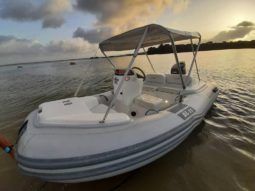 
										DINGHY CARIBE DL 11 full									