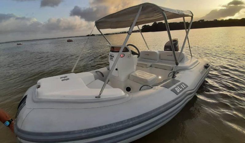 
								DINGHY CARIBE DL 11 full									