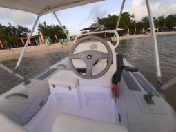 
										DINGHY CARIBE DL 11 full									