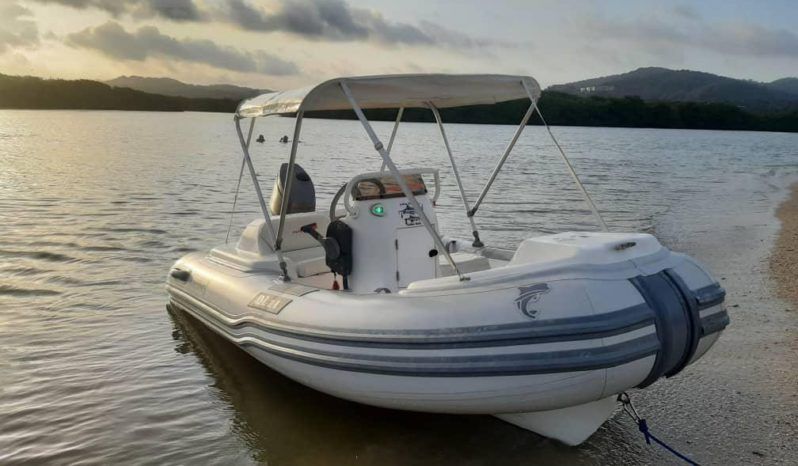 
								DINGHY CARIBE DL 11 full									