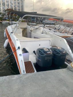 
										SANTOS 32.5 full									