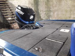 PROCRAFT DE FIBRA 180D full