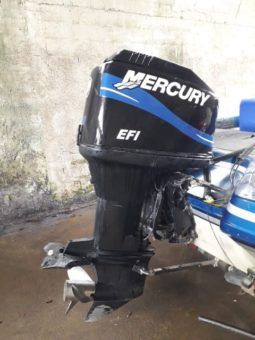 PROCRAFT DE FIBRA 180D full