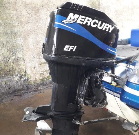 PROCRAFT DE FIBRA 180D full