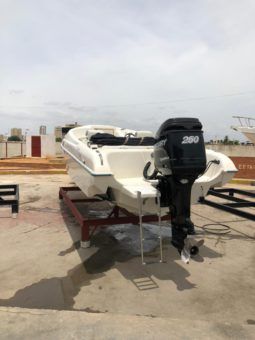 
										BERETTA SPORT 27 full									