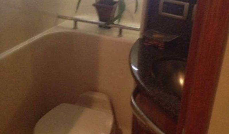 
								SEA RAY SUNDANCER 44 full									